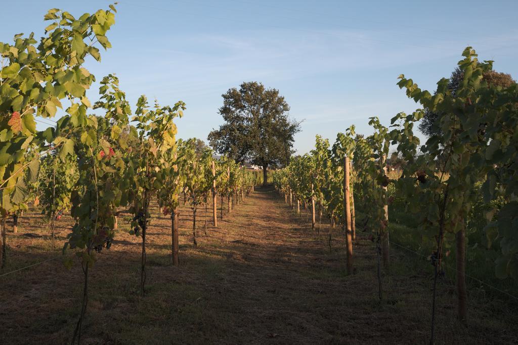 גימראייש 1720 Quinta Da Cancela - Winery & Farmhouse מראה חיצוני תמונה